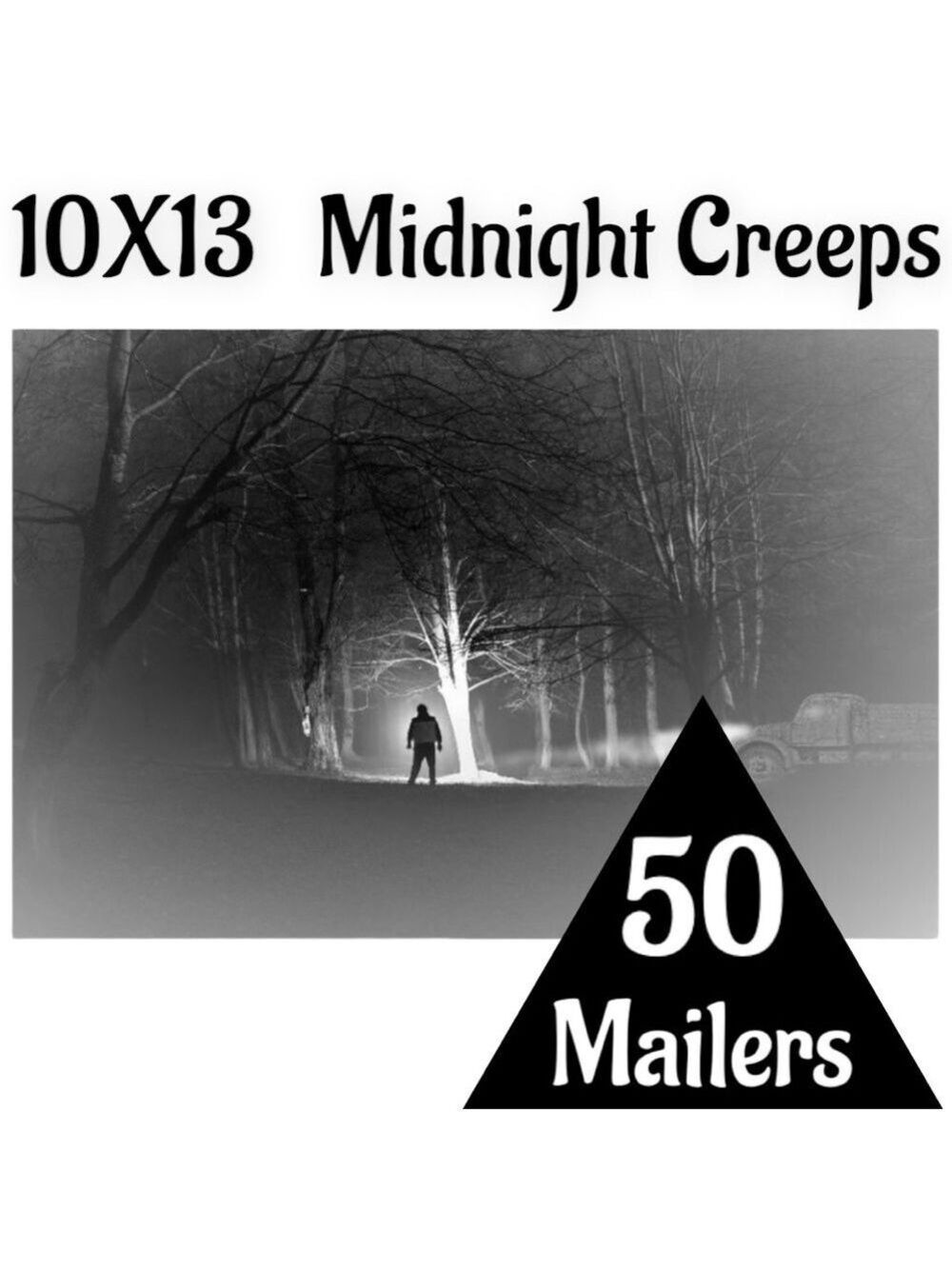 50 10X13 Midnight Creeps Poly Mailers PRICE FIRM Fall - Picture 4 of 11